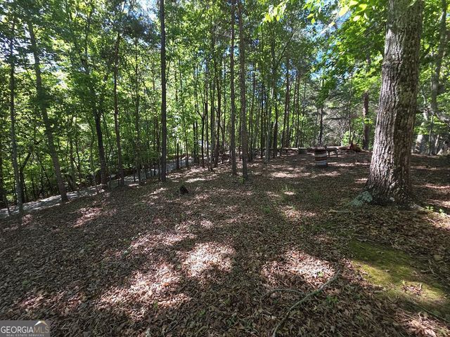 854 Rizzitello Lane, Blairsville, GA 30512