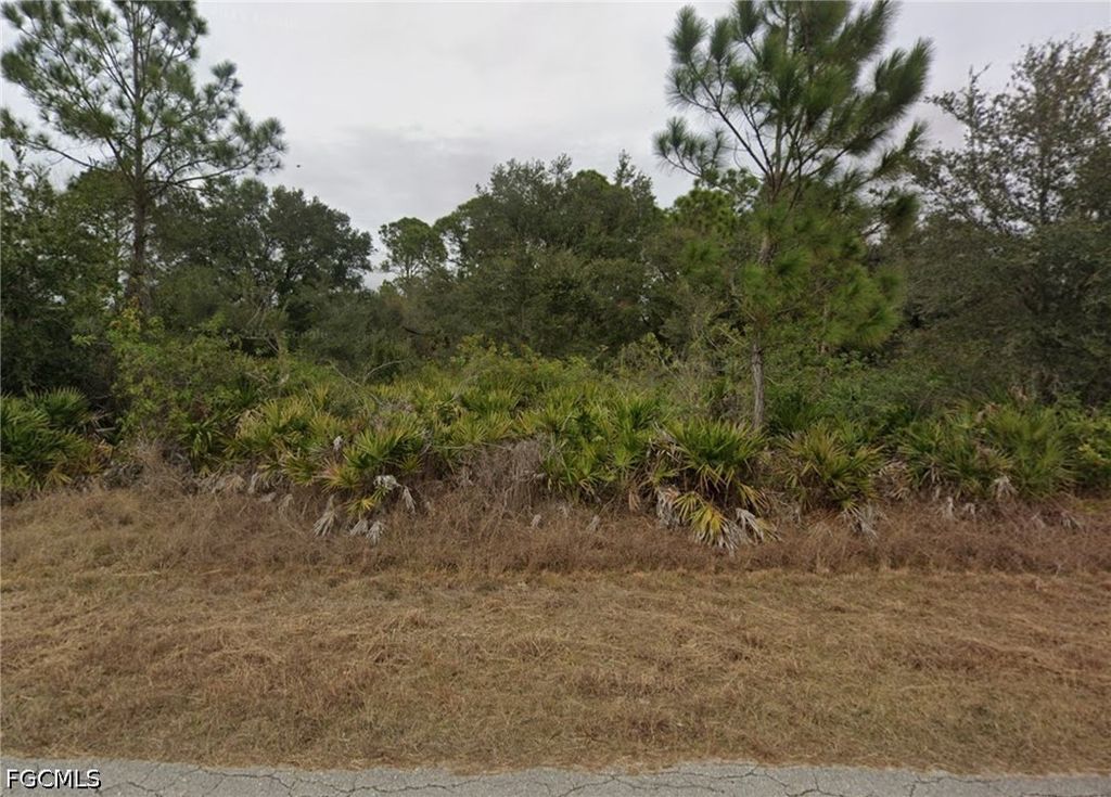 3905 E 21st ST, Alva, FL 33920