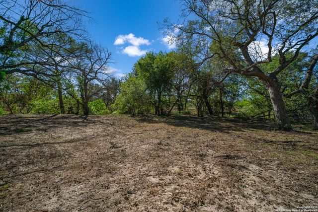 15326 Gross Lane, Lacoste, TX 78039