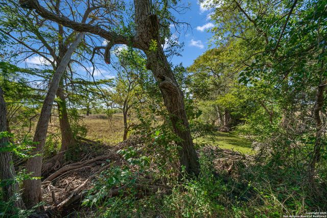 15326 Gross Lane, Lacoste, TX 78039