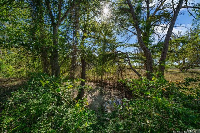 15326 Gross Lane, Lacoste, TX 78039