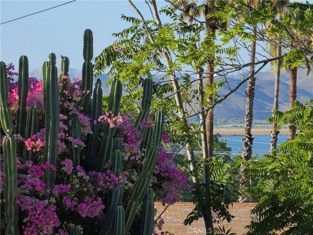 18173 Ballard, Lake Elsinore, CA 92530