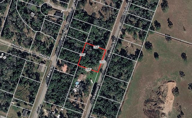 Lot 35 Shannon Street, Hempstead, TX 77445