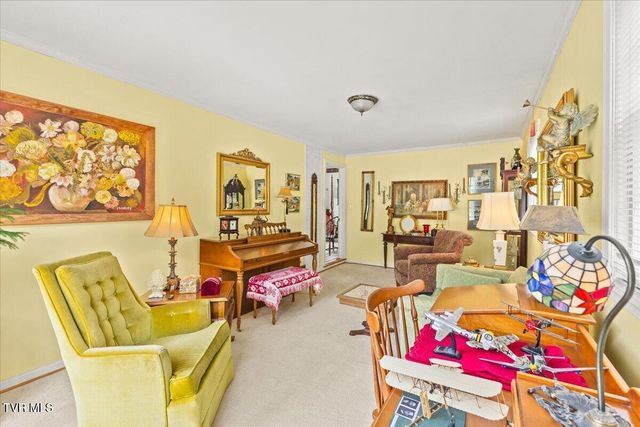 219 East Gilmer Park, Johnson City, TN 37604
