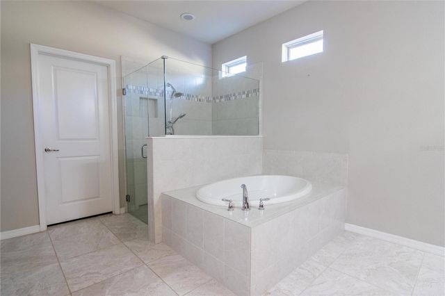 8000 OLIVE BROOK DRIVE, Wesley Chapel, FL 33545