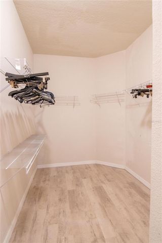 8000 OLIVE BROOK DRIVE, Wesley Chapel, FL 33545