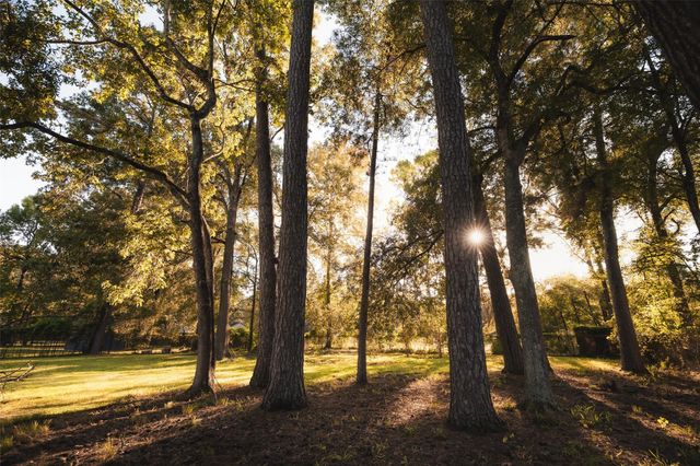 419 Magnolia Bend, New Caney, TX 77357