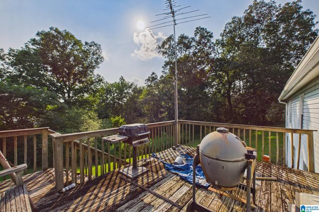 9332 DADS HILL ROAD, Warrior, AL 35180