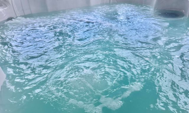 3913 Wyndham Ridge, Lexington, KY 40514