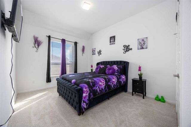 4005 Wildflower Place, Waller, TX 77484