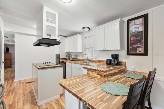 3125 BRIAR STREET, Wesley Chapel, FL 33543