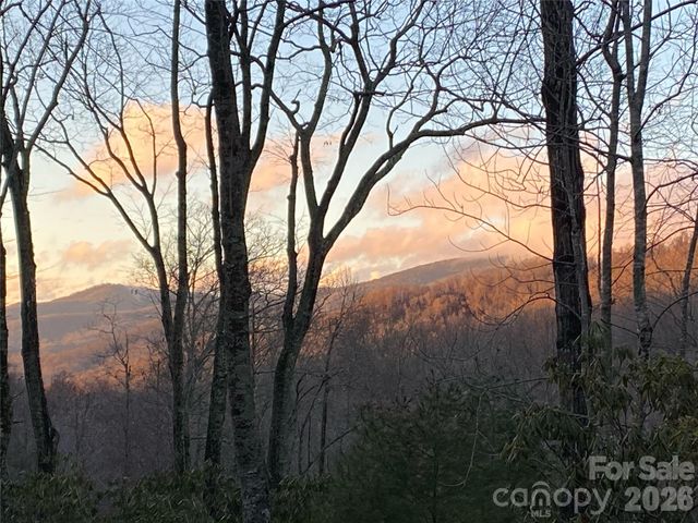 102 Carriage Drive, Fairview, NC 28730