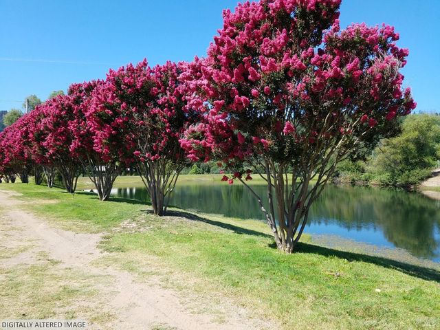 8320 Franz Valley Rd, Calistoga, CA 94515