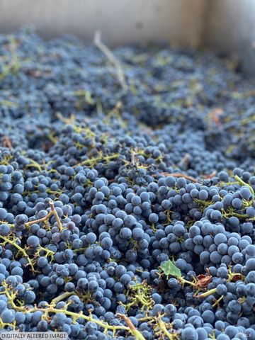 8320 Franz Valley Rd, Calistoga, CA 94515