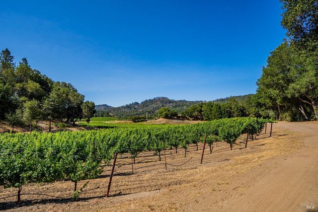8320 Franz Valley Rd, Calistoga, CA 94515