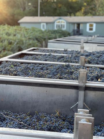 8320 Franz Valley Rd, Calistoga, CA 94515