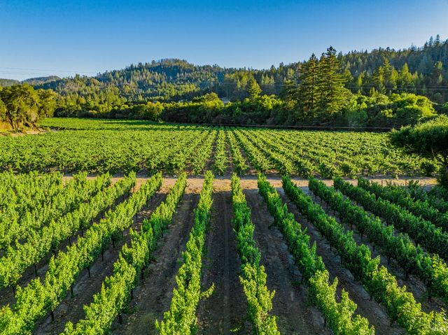 8320 Franz Valley Rd, Calistoga, CA 94515