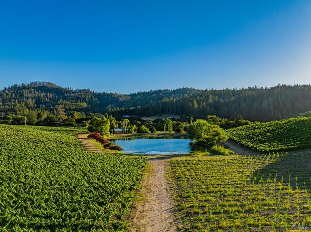8320 Franz Valley Rd, Calistoga, CA 94515