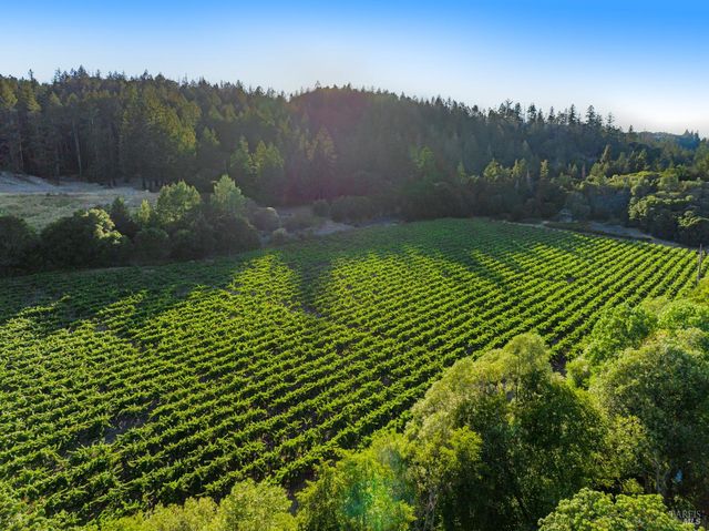 8320 Franz Valley Rd, Calistoga, CA 94515