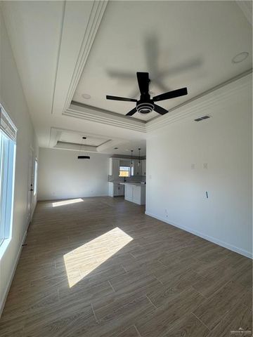 1205 S Waterfall Avenue, Edinburg, TX 78539