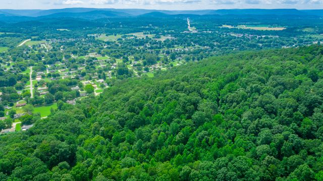 601 Priest Avenue, Jasper, TN 37347