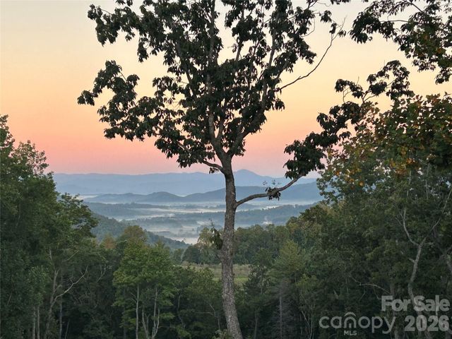 72 Jacks Paw Lane, Hendersonville, NC 28792