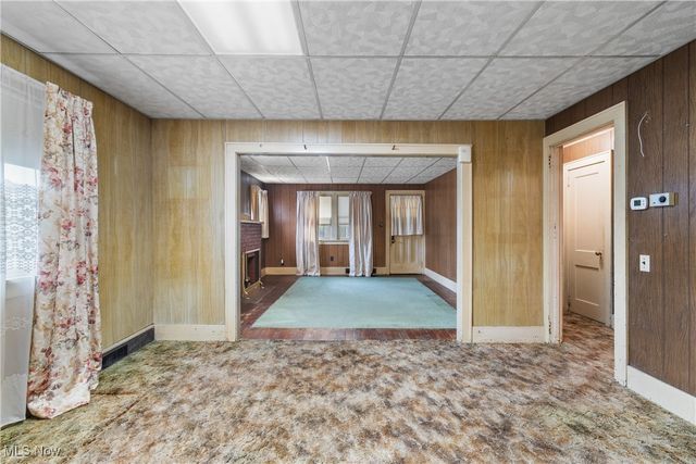 1239 Lily Street, Akron, OH 44301