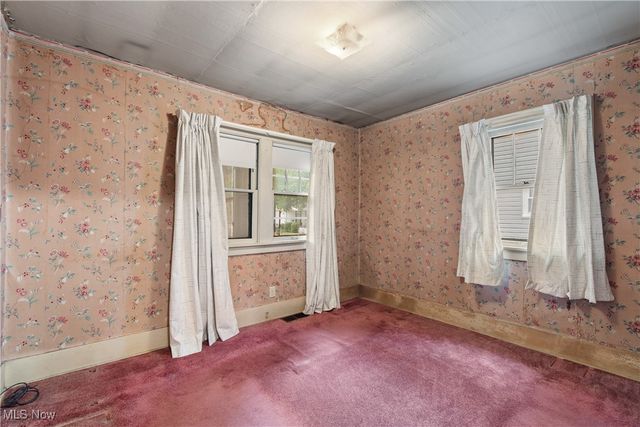 1239 Lily Street, Akron, OH 44301