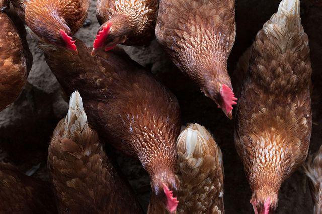 2590 Helmsman Road, Johns Island, SC 29455