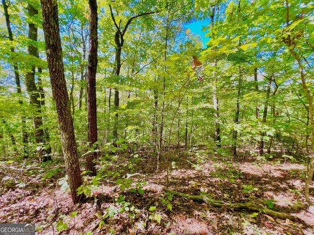 0 Double Knob Road, Ellijay, GA 30540