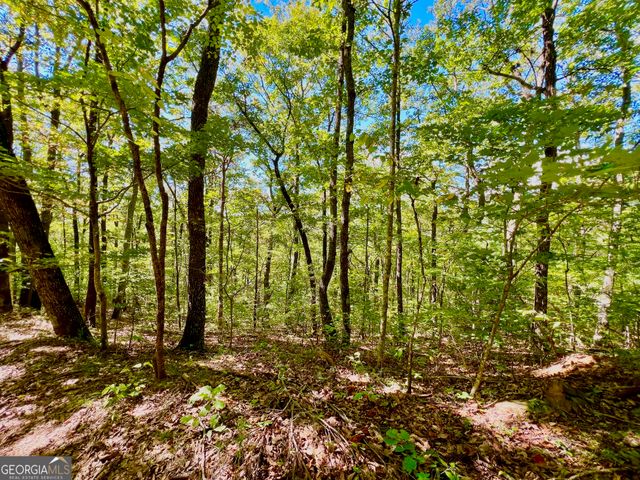 0 Double Knob Road, Ellijay, GA 30540