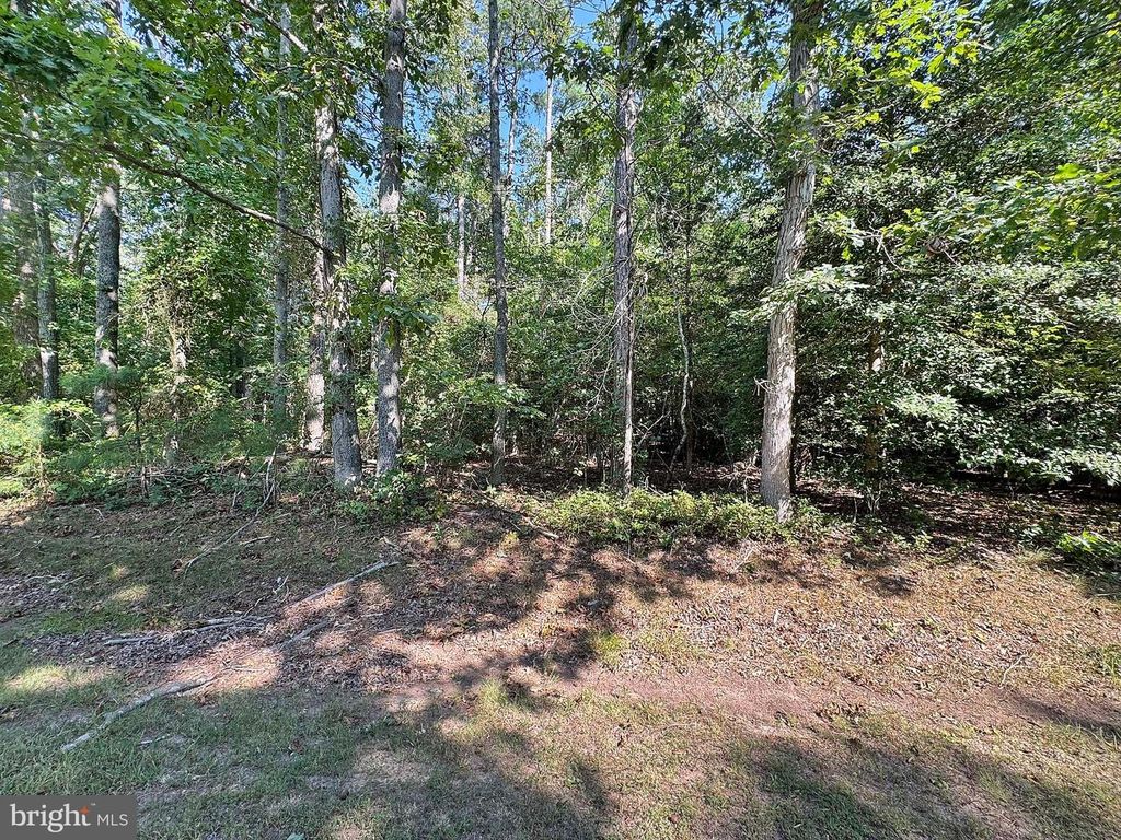 LOT 1976 MAYFLOWER DR, Greenbackville, VA 23356