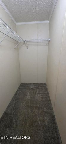 236 Loggers Lane, Clinton, TN 37716