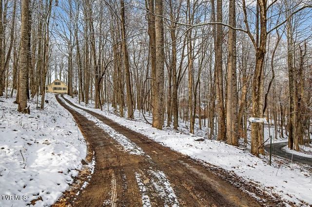 12034 Waterhouse Lane, Meadowview, VA 24361