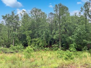 610 SAVANNAH BARONY Drive, North Augusta, SC 29841