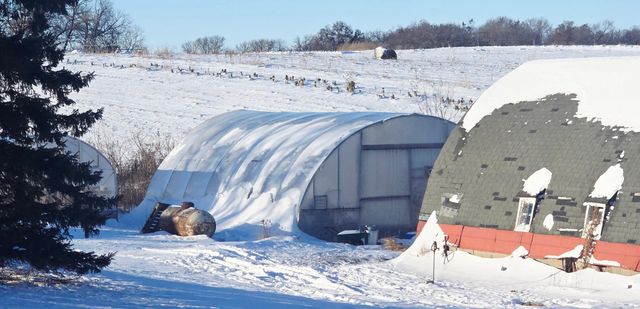 15514 341st Avenue, Harmony, MN 55939