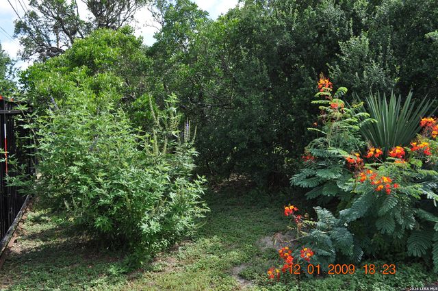 610 Timber Blf, San Antonio, TX 78253