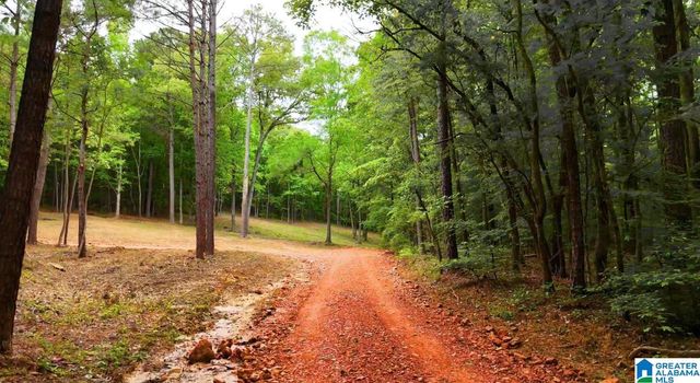 387 MAGNOLIA LANE, Vandiver, AL 35176