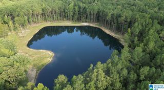 387 MAGNOLIA LANE, Vandiver, AL 35176