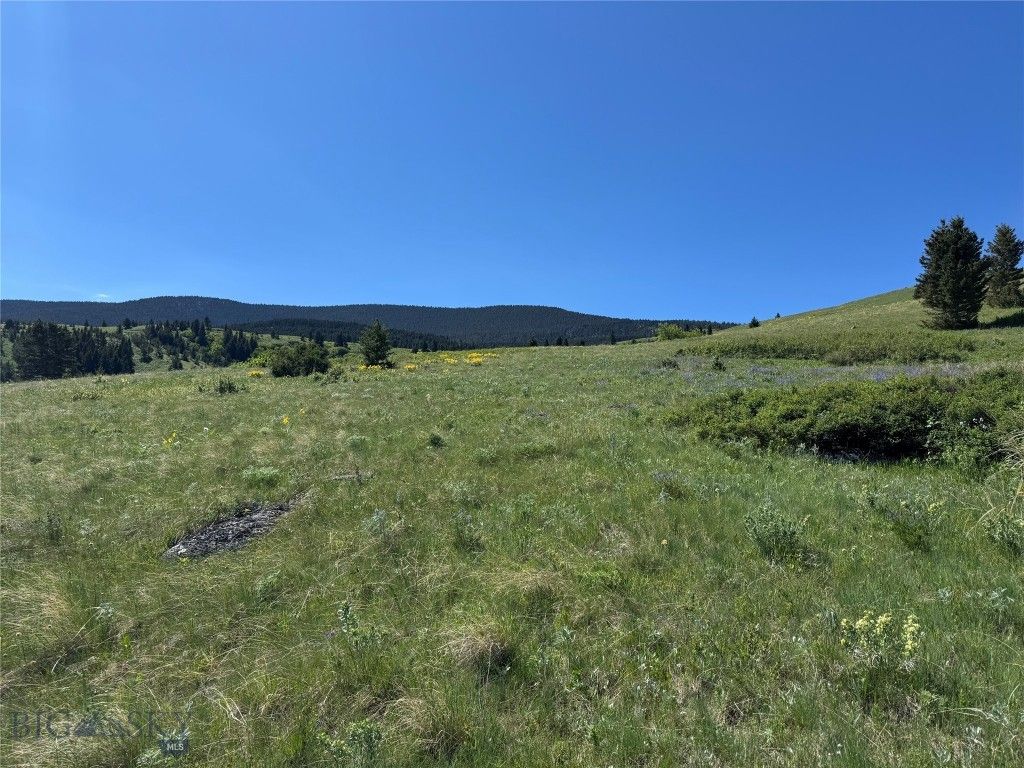 TBD Rendezvous Trail, Livingston, MT 59047