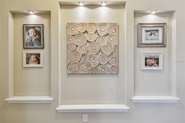 11307 QUIET FOREST DRIVE, Tampa, FL 33635