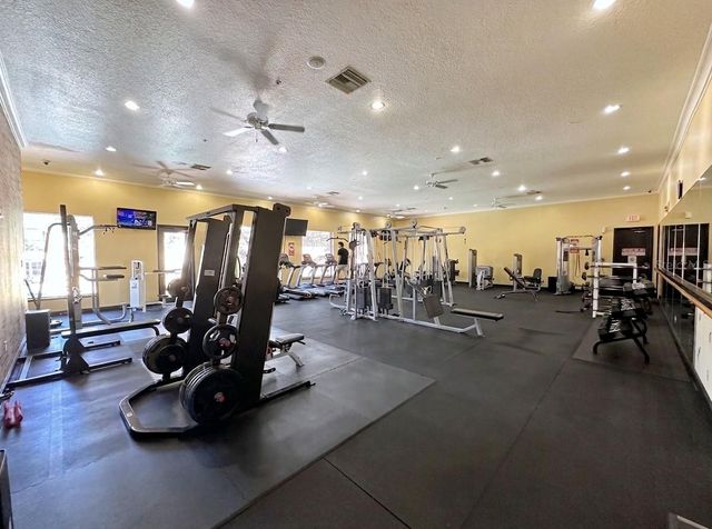 1810 E PALM AVENUE 5208, Tampa, FL 33605