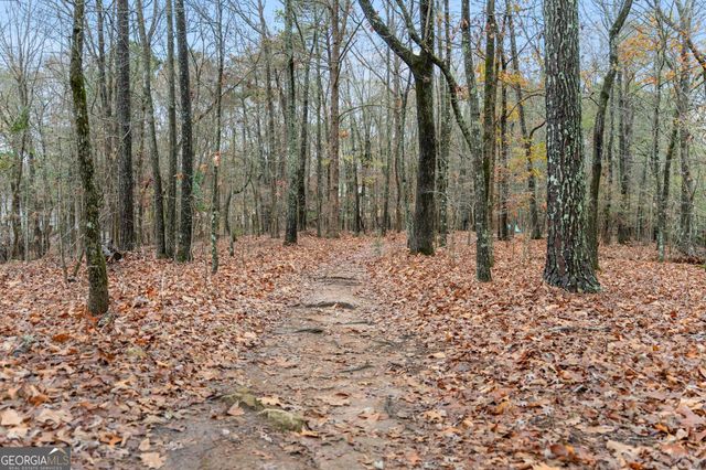 810 Southern Shore Drive, Peachtree City, GA 30269