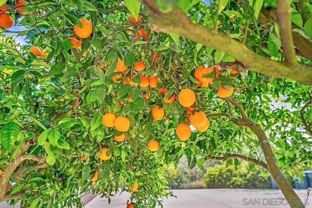 14930 Eastvale Road, Poway, CA 92064