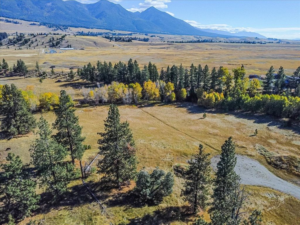 303 Sophie Creek Lane, Eureka, MT 59917 photo 4