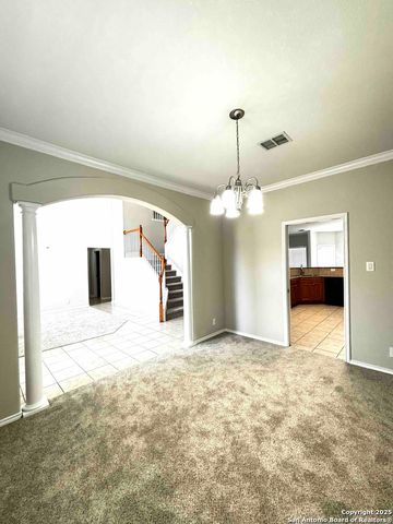 27046 Trinity Heights, San Antonio, TX 78261