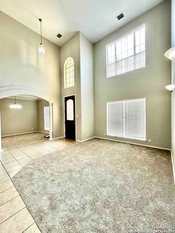 27046 Trinity Heights, San Antonio, TX 78261