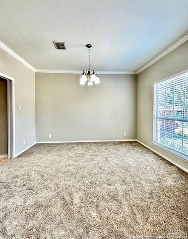 27046 Trinity Heights, San Antonio, TX 78261