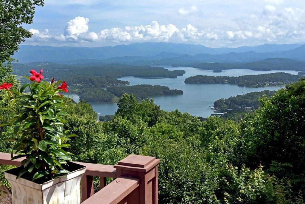 786 Ramey Mountain Road, Hiawassee, GA 30546
