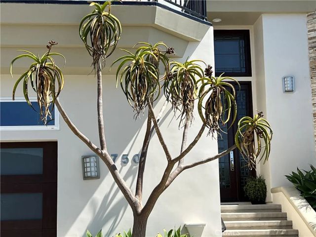 750 Bolsana Drive, Laguna Beach, CA 92651